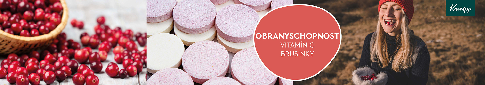 obr_2